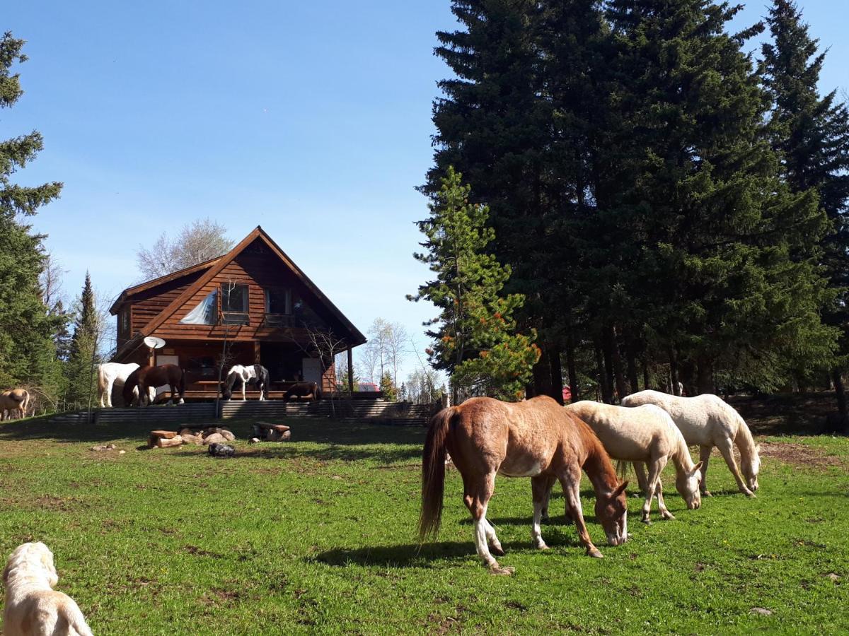 Wettstone Guest Ranch Bed & Breakfast Bridge Lake Exterior photo